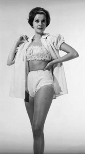 1960s Vintage Lingerie