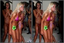 2008 Hooters Swimsuit Pageant