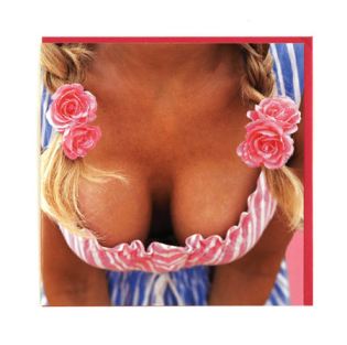 Adult Christmas Greeting Cards
