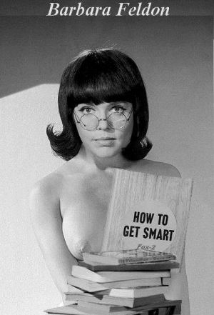 Agent Barbara Feldon Nude