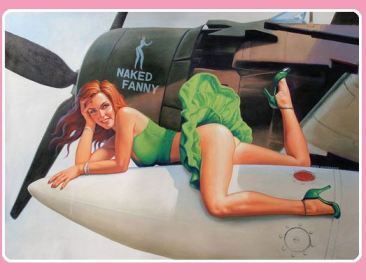 Air Force Pin Up Girls