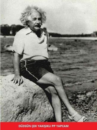 Albert Einstein Sandals