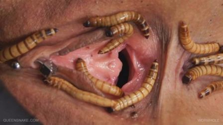Insect Pussy Insertion