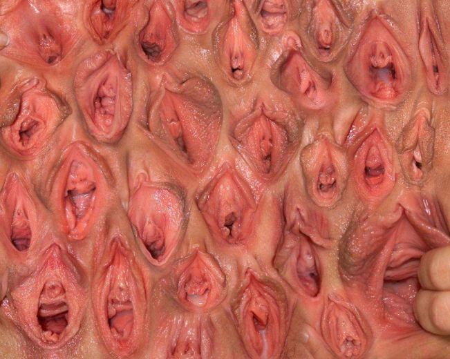 Inside Vagina