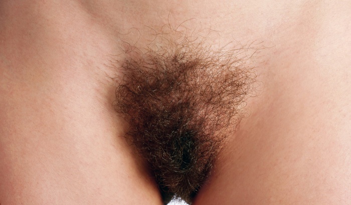 Italian Calendar Hairy Pussy