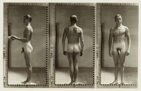 Ivy League Nude Posture