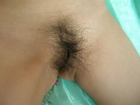 Korean Hairy Pussy Amateur