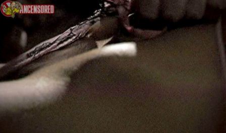 Lauren Holly Nude Scene