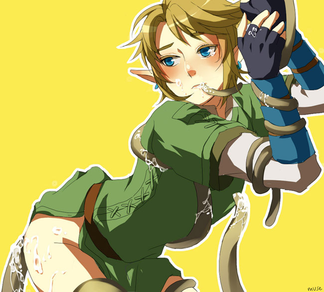 Legend Of Zelda Link Yaoi Hentai