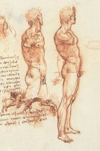 Leonardo Da Vinci Drawings