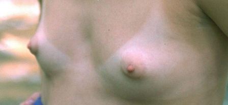 Long Erect Nipples Lesbians