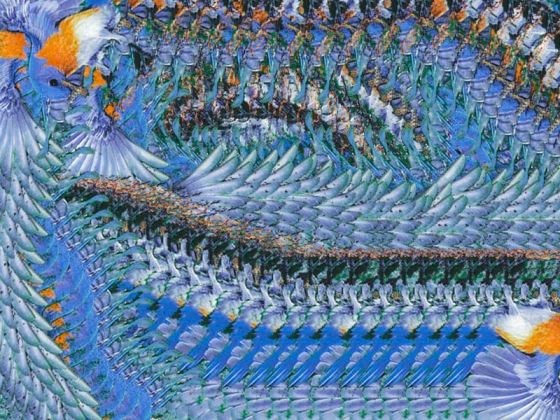 Magic Eye Porn