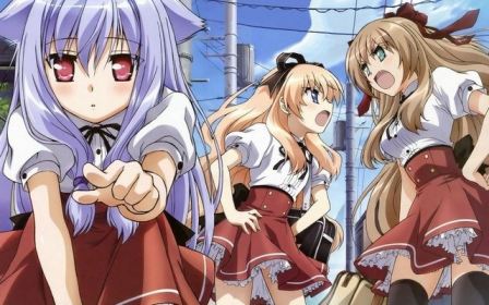 Mayoi Neko Overrun