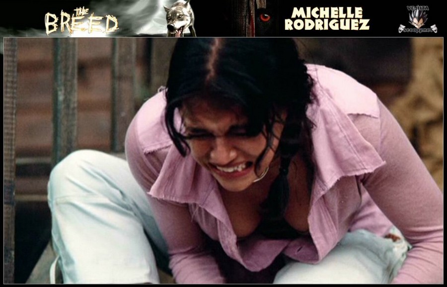 Michelle Rodriguez Nipple Slip