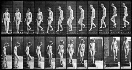 Muybridge Woman Walking Downstairs