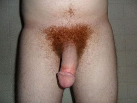 Naked Men With Red Pubic Hair