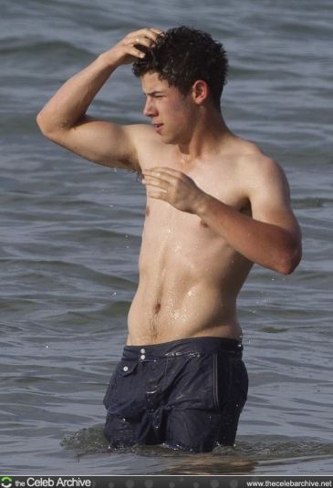 Nick Jonas Nude Selfie