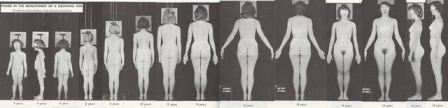 Nude Female Breast Development Time Lapse