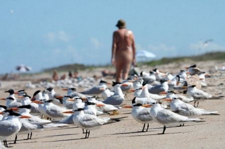 Nude Playalinda Beach Canaveral National Seashore