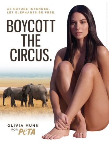 Olivia Munn Peta