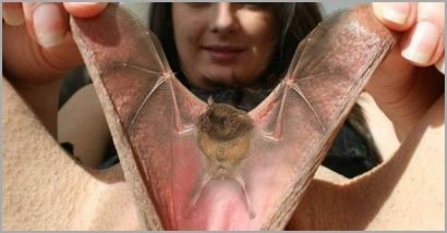 Pierced Pussy Squirting