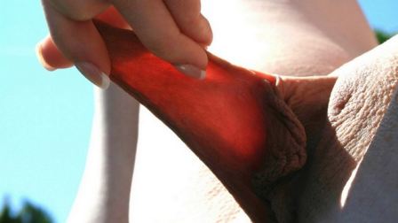 Pussy Close Up Shaved Labia Stretched