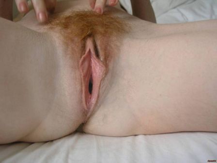 Redhead Hairy Pussy Open