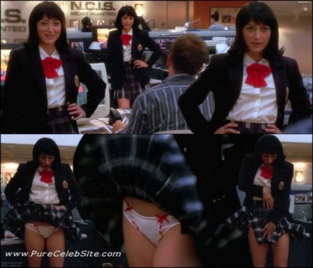 Sasha Alexander Upskirt Ncis