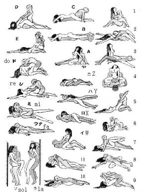 Sex Positions Diagram