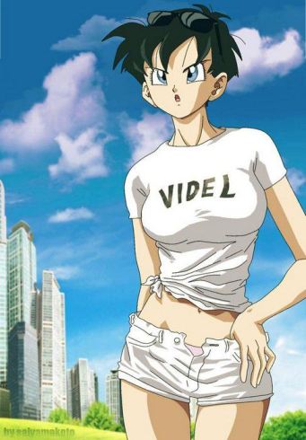 Sexy Dragon Ball Z Videl Hot