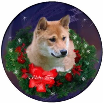 Shiba Inu Christmas