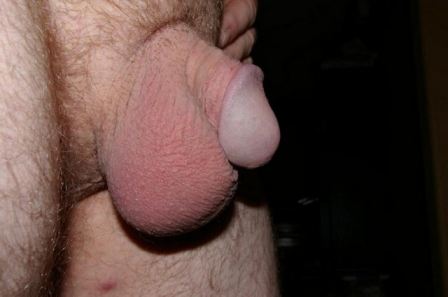 Small Soft Cock Big Balls