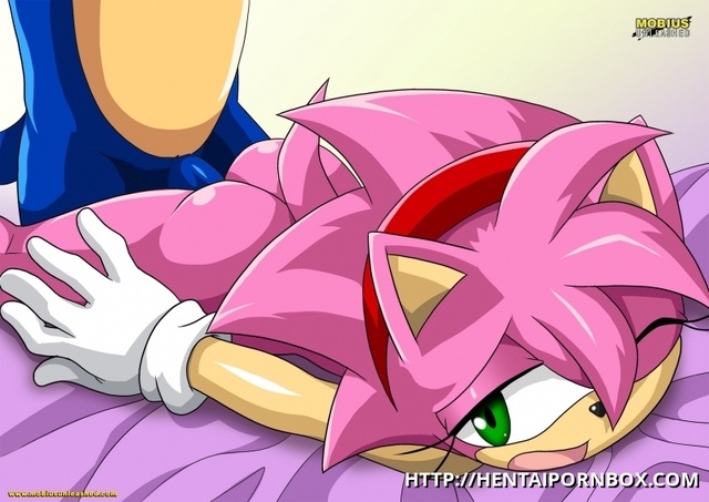 Sonic Amy Rose Porn Gif