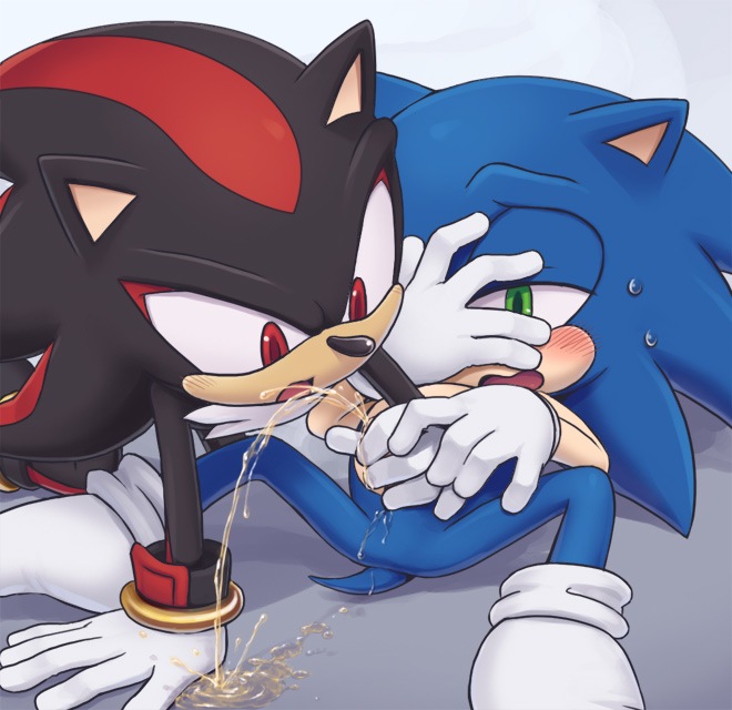 Sonic And Shadow The Hedgehog Gay Porn