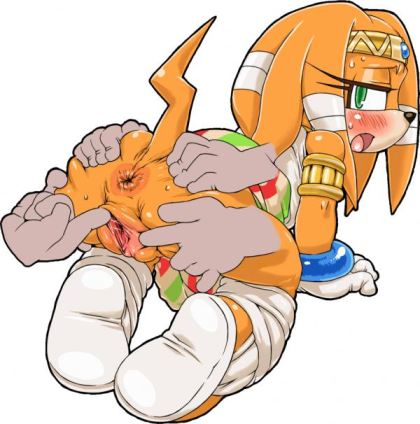 Sonic And Tikal Sex