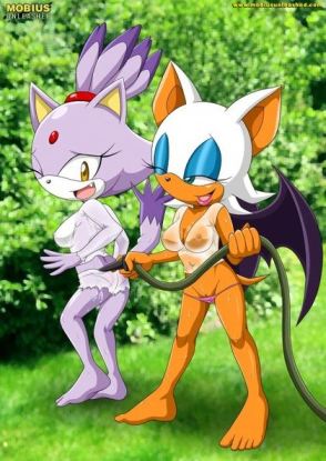 Sonic Blaze Porn Story