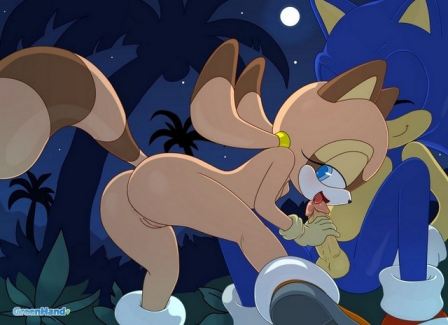 Sonic Marine The Raccoon Hentai