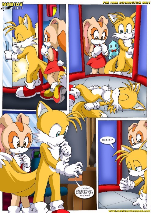 Sonic Tails Furry Porn Comic
