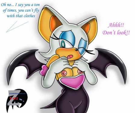 Sonic The Hedgehog Rouge Boobs