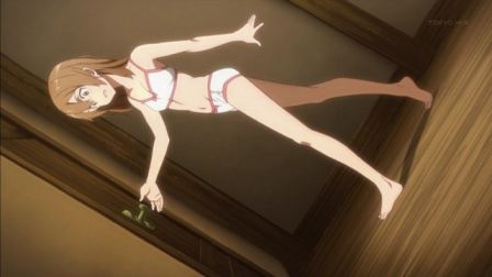 Sword Art Online Silica Panties