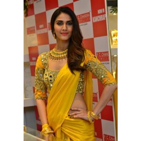 Vaani Kapoor Hot Sexy In Sari Photos