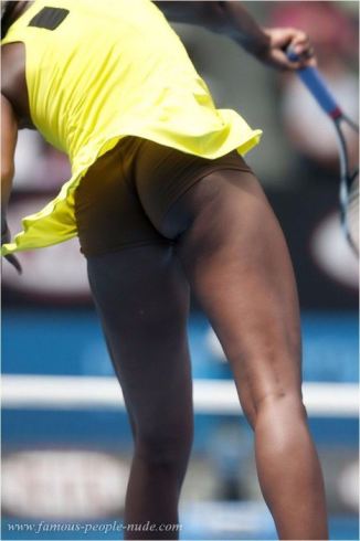 Venus Williams Ass