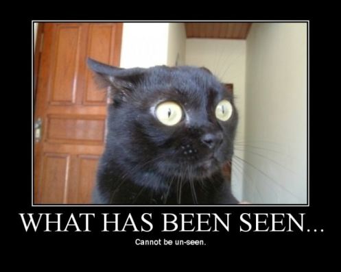 What Has Been Seen Cannot Be Unseen