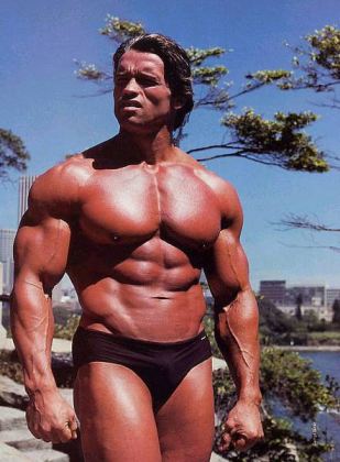 Arnold Schwarzenegger Bodybuilder