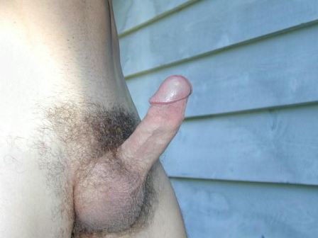 Average Size Penis Erection