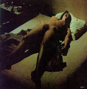 Barbara Hershey Movie Nude Scenes