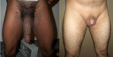 Big Black Cock Vs Tiny White Dick