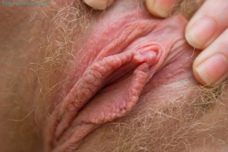 Big Clits With Hairy Pussy Lips