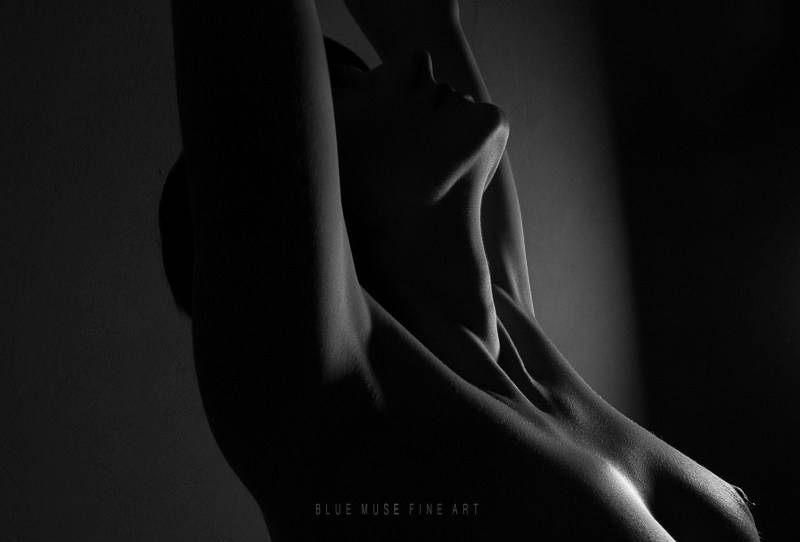 Black White Fine Art Nudes