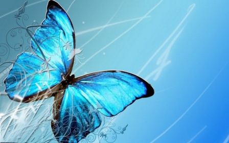 Blue Butterfly Desktop